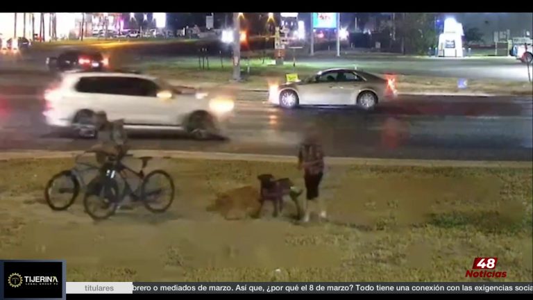 Autoridades Buscan Identificar Víctima De Accidente Vial