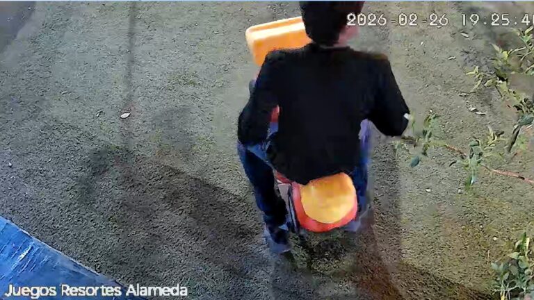 Detención de Joven por Destruir Juego Infantil en la Alameda de Torreón