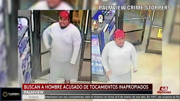 Búsqueda De Sospechoso En Palmview