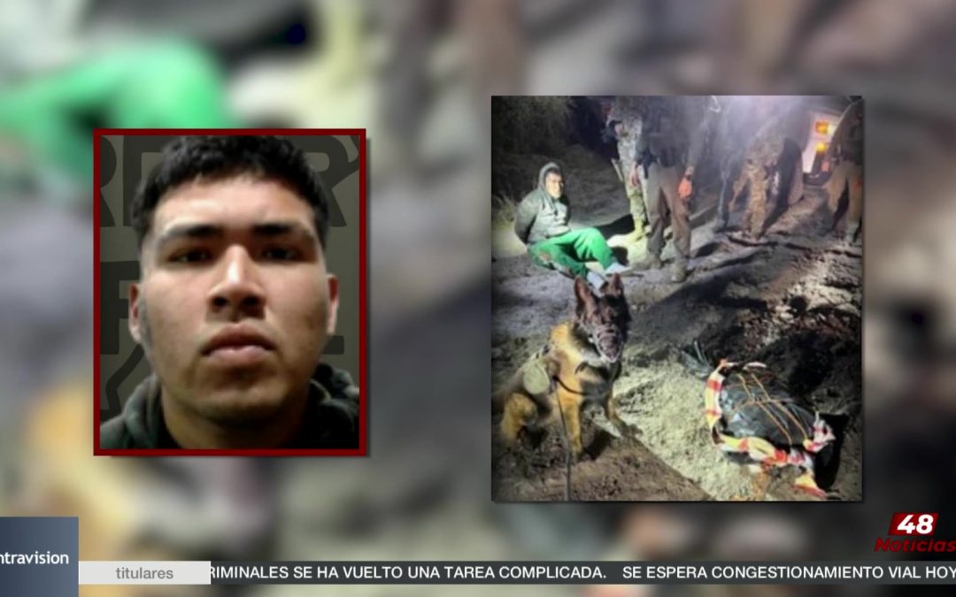 Desmantelan Operación De Narcóticos En Brownsville