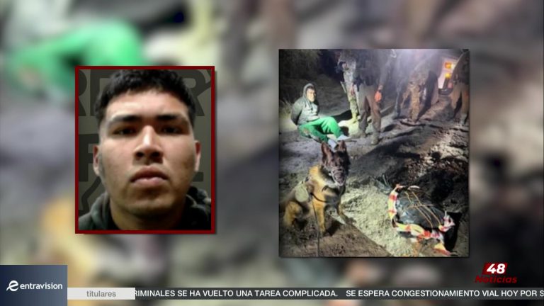 Desmantelan Operación De Narcóticos En Brownsville