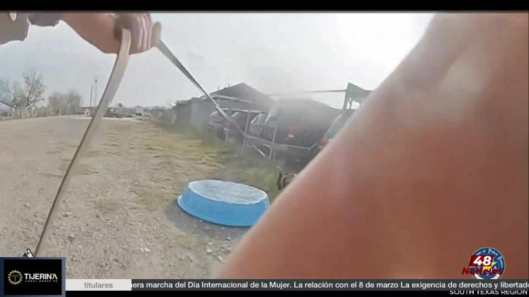 DPS Encuentra Migrante Oculto Bajo Lancha