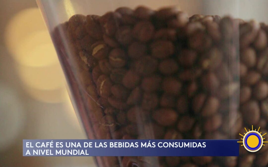 El Consumo De Café En Estados Unidos