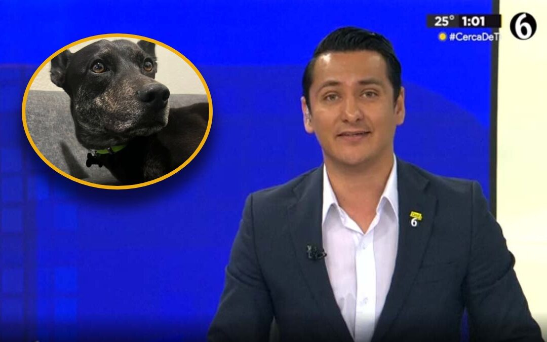 Erik Solheim del Telediario solicita ayuda para encontrar a su perrito Zack