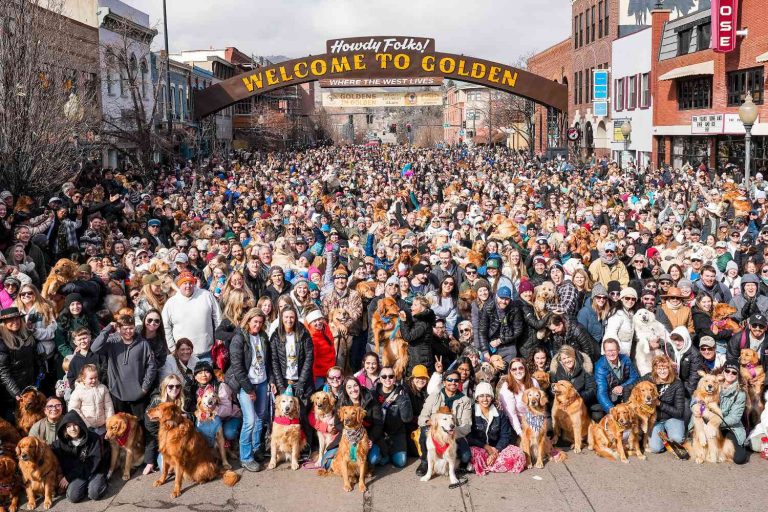 Goldens in Golden: El Encuentro de Golden Retrievers que Rompe Récords
