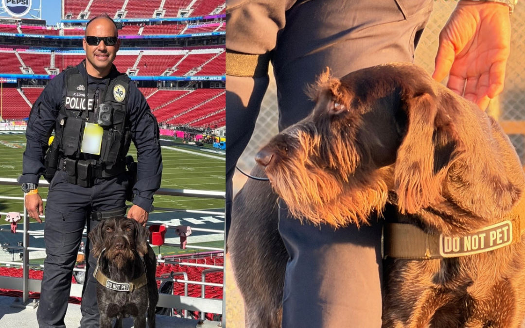 Super Bowl 60: El Policía de El Paso y su K9 Laky Destacan en la Seguridad de Santa Clara