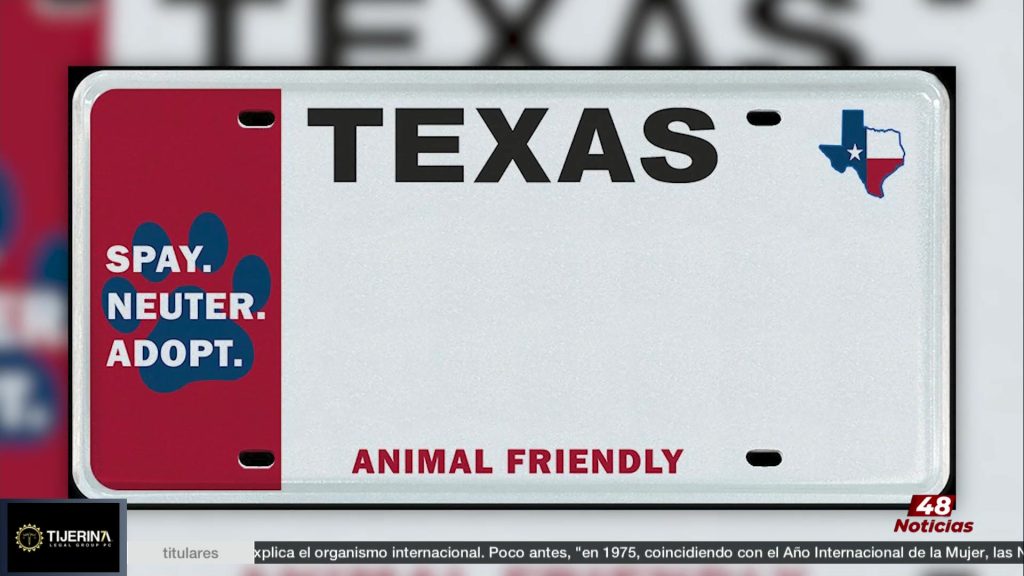 Placa Vehículos: La Nueva Placa Para Vehículos Apoya El Bienestar Animal