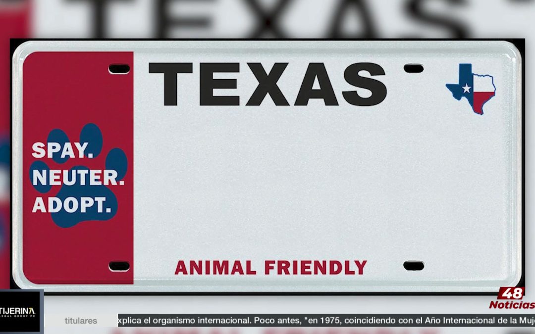 Placa Vehículos: La Nueva Placa Para Vehículos Apoya El Bienestar Animal