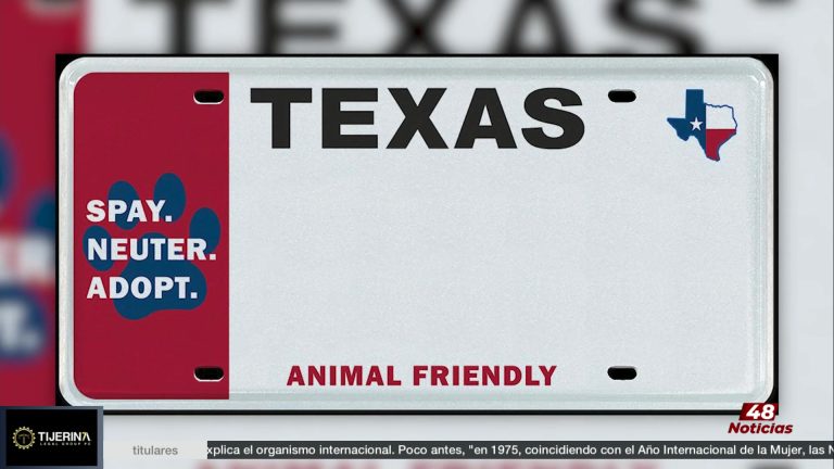 Placa Vehículos: La Nueva Placa Para Vehículos Apoya El Bienestar Animal