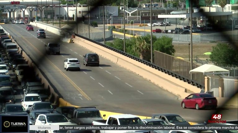 Restricciones A Flores Mexicanas En Frontera De Texas