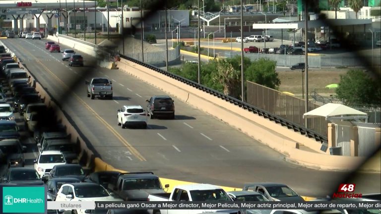 Restricciones En La Frontera Con México: Prohibición De Flores Frescas
