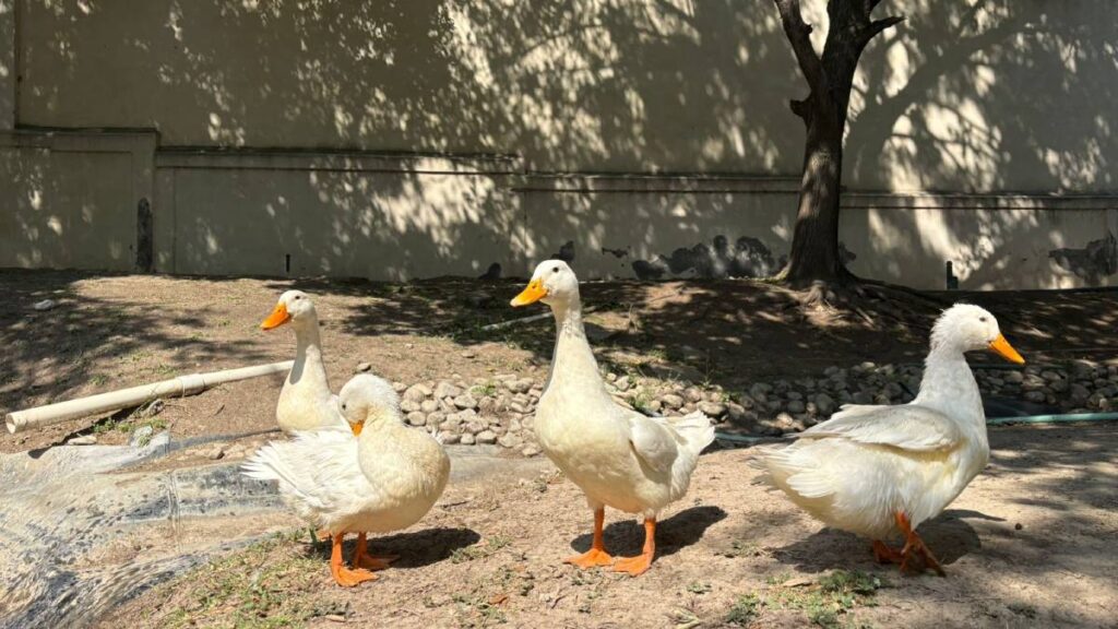 Tragedia en Parque Corporativo Santa Engracia: Importancia de Respetar Señalamientos de Tráfico