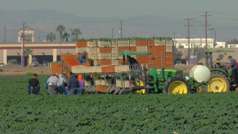 California y la Costa Central Celebran el Primer Día de los Trabajadores del Campo