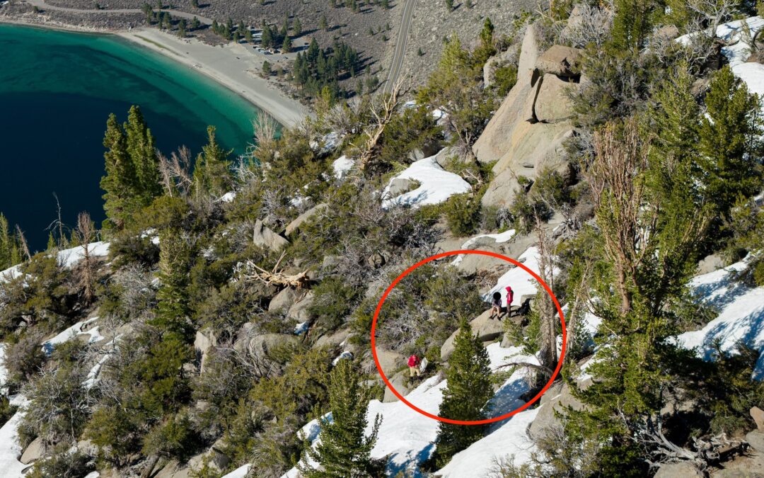 Rescate en Mount Downs: Voluntarios Salvan a Excursionista Atrapado