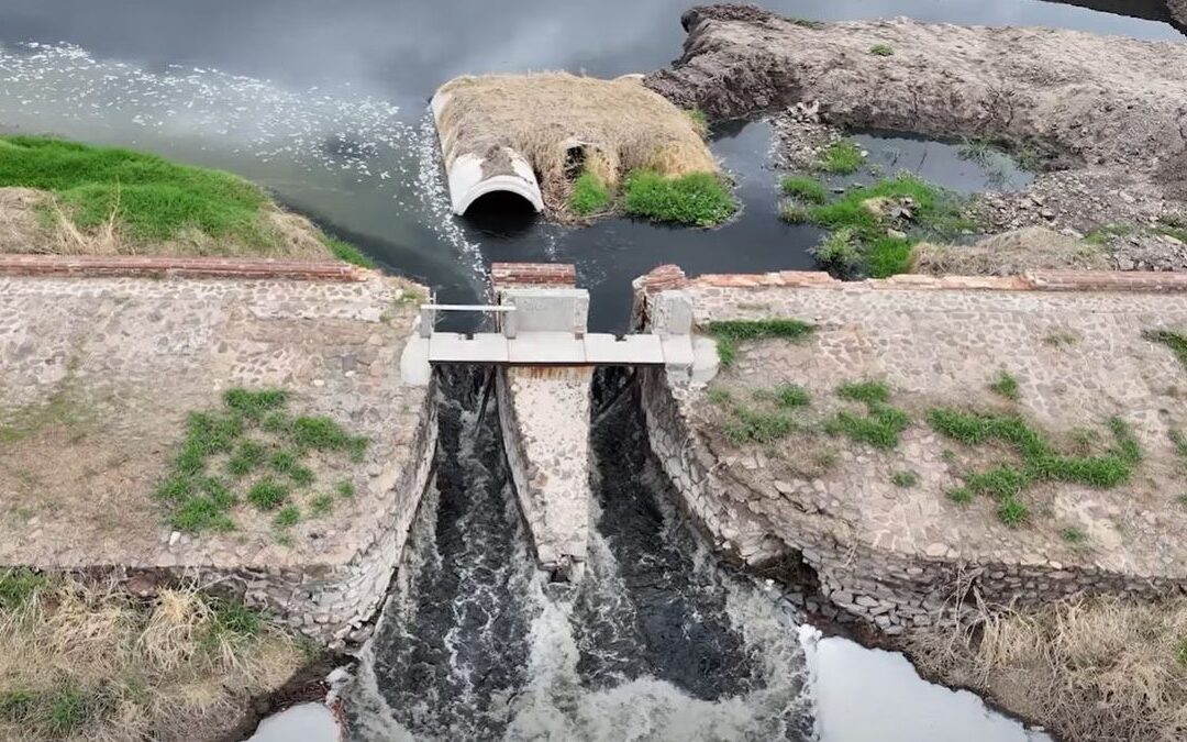 Contaminación del Río Santiago: Revelan Daños Genéticos Según Estudio de UDG