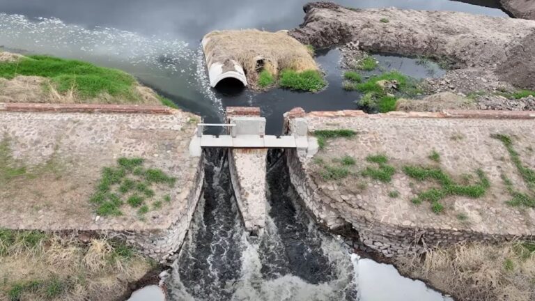Contaminación del Río Santiago: Revelan Daños Genéticos Según Estudio de UDG