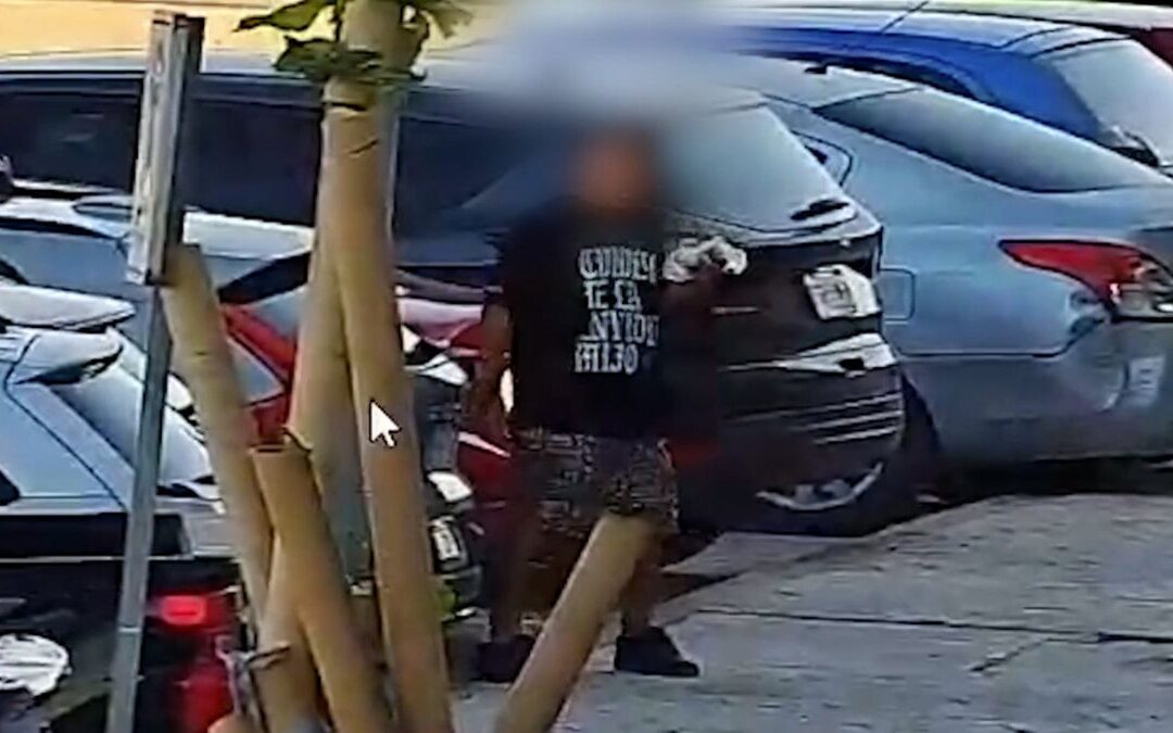 Captura de Asaltante en Torreón Gracias a Cámaras del C2