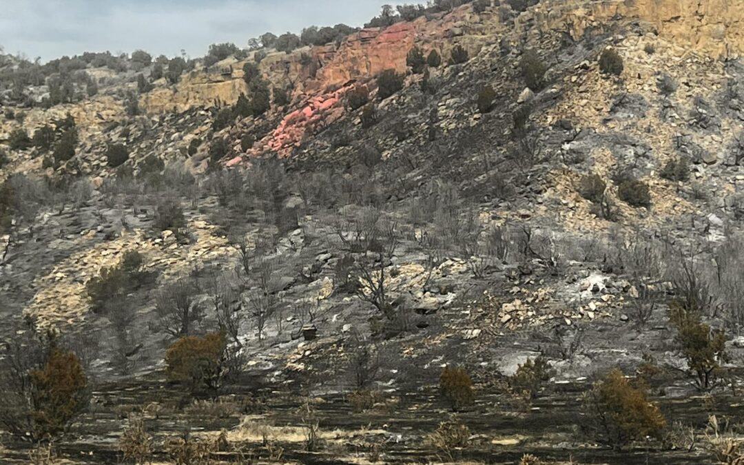Reapertura de la Highway 115 tras incendio 24 Fire: Avance significativo en Colorado Springs