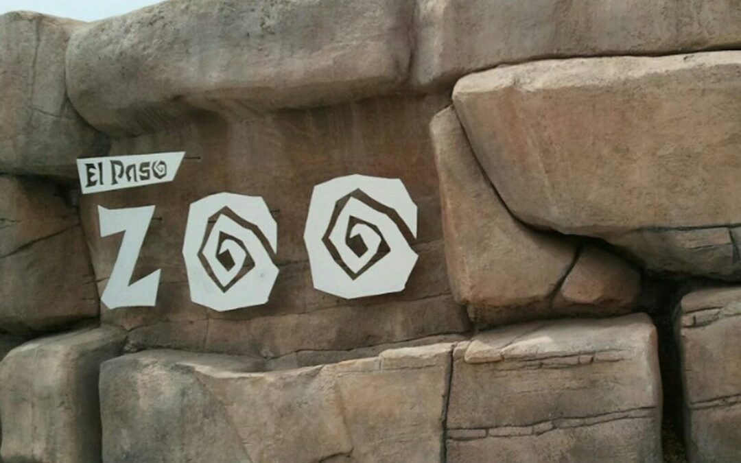 Zoológico de El Paso Extiende Horarios de Apertura para Mayor Acceso