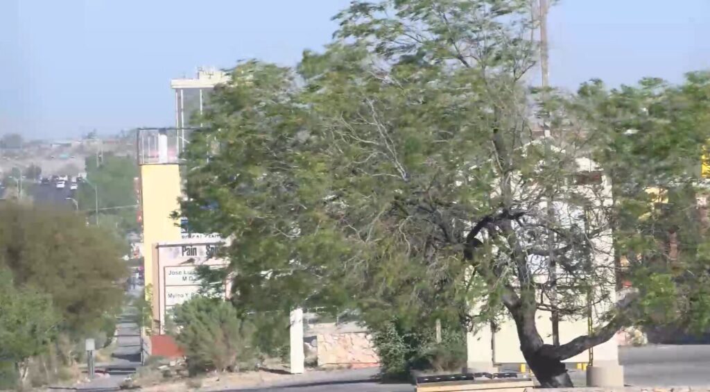 El Paso: la Ciudad Más Contaminada de EE.UU. en 2025, Según Informe de IQAir