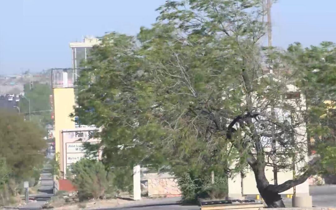 El Paso: la Ciudad Más Contaminada de EE.UU. en 2025, Según Informe de IQAir
