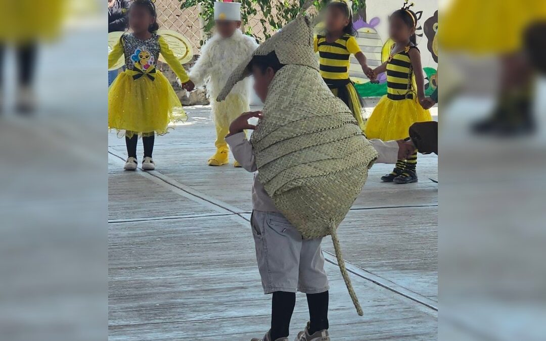 Impacto del Festival de Primavera: Niño Armadillo Cautiva con Disfraz Artesanal