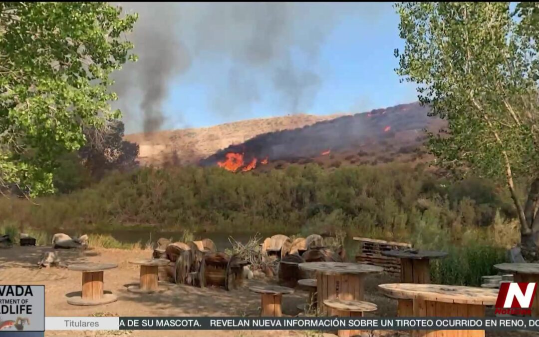 Quemas Controladas: Proteger a Galena de Incendios Devastadores