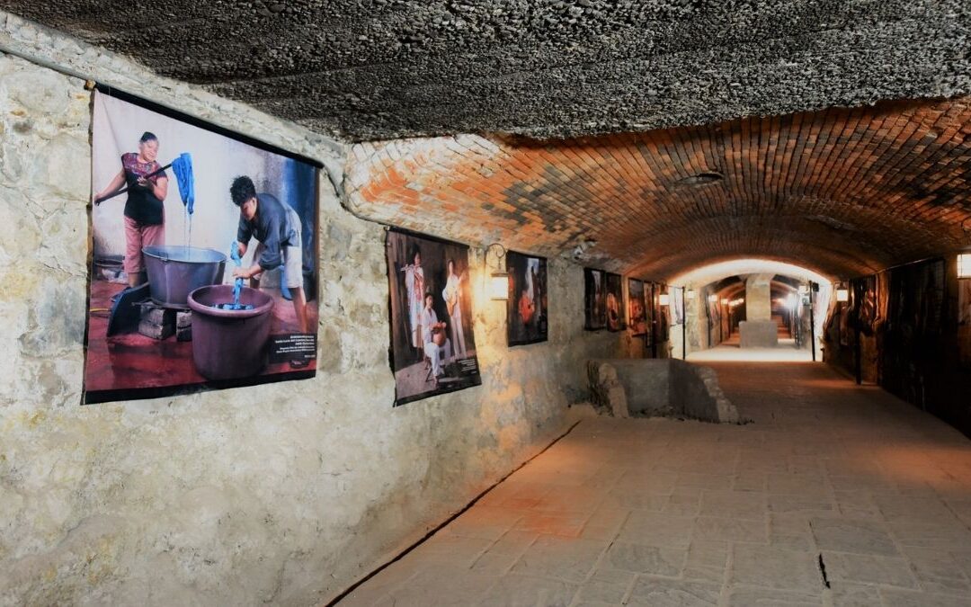 Descubre los Fascinantes Museos en Torreón Durante tus Vacaciones