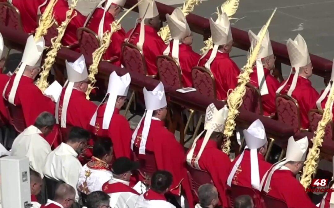 Papa León: Celebraciones Del Domingo De Ramos En Roma
