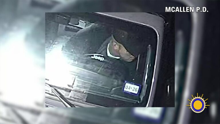 Robo De Vehículo En McAllen: Sospechoso En La Fuga
