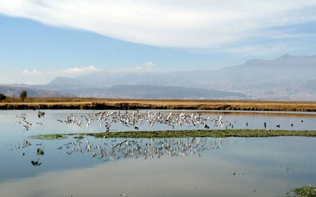 Saneamiento del Río Santiago: Un Reto en Proceso para Conagua