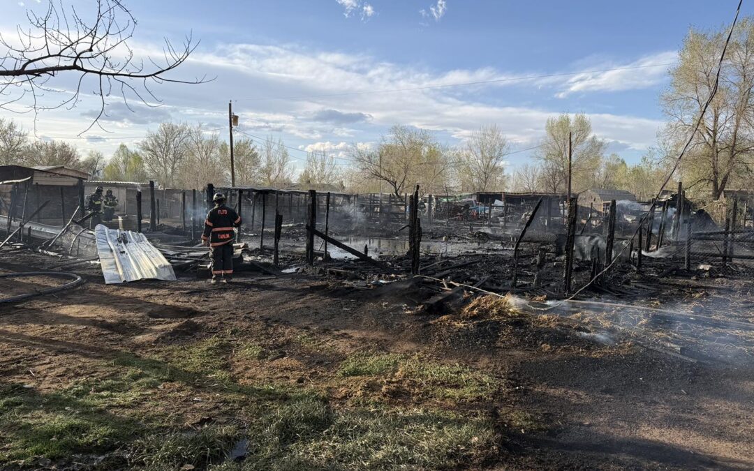 Trágico Incendio en Fort Lupton: Mueren Varios Animales de Granja