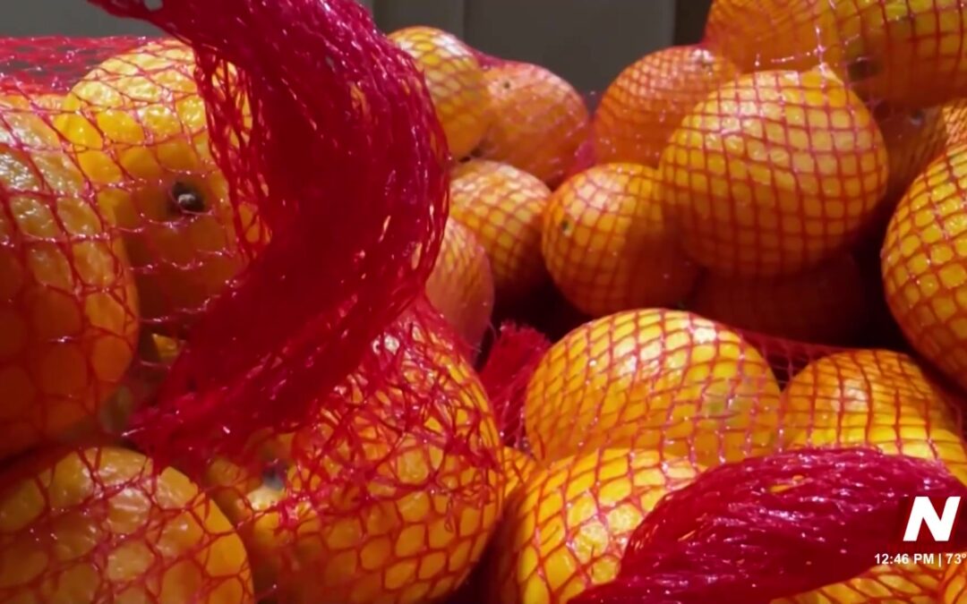 Impacto de la Reducción de Beneficios de CalFresh en San Diego: Crisis de Asistencia Alimentaria