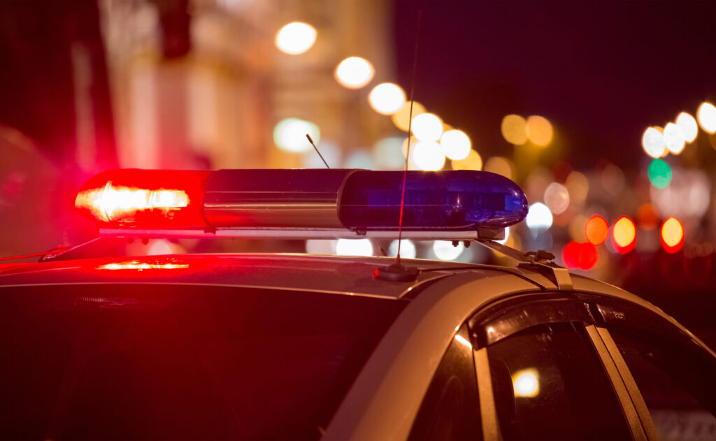 Autoridades investigan muerte de decenas de ganado en La Joya