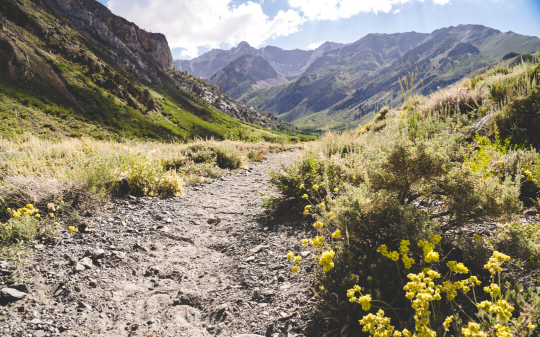 Trágico Hallazgo: Hombre Desaparecido en El Cajon Mountain Encontrado Muerto