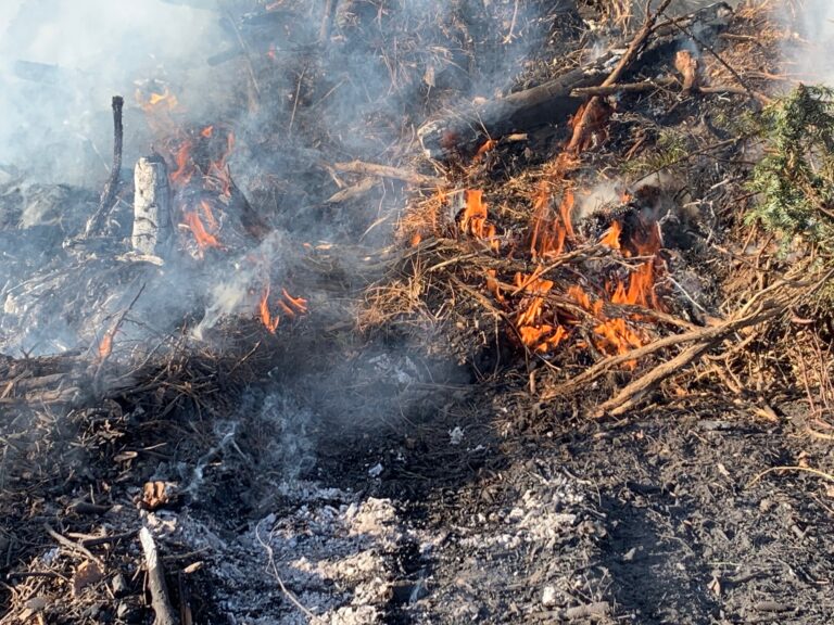 Control de Incendios: TMFPD Preparado para Quemar 50 Pilas de Vegetación Cerca de Mt. Rose Hwy