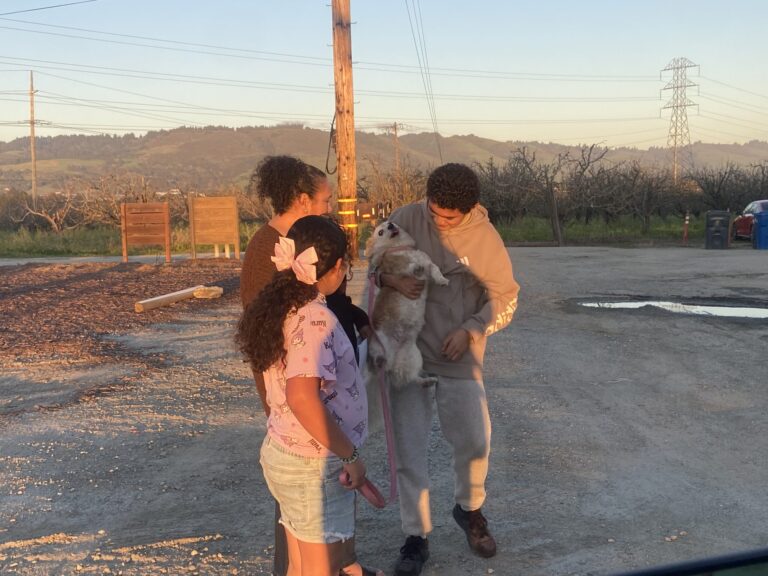 Preocupaciones sobre el Proyecto de Almacenamiento de Energía en Watsonville: La Iniciativa Seahawk y Sus Implicaciones