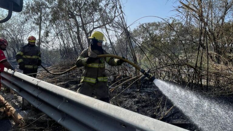 Incendio en el Río Santa Catarina: Cuerpos de Rescate en Acción en Monterrey