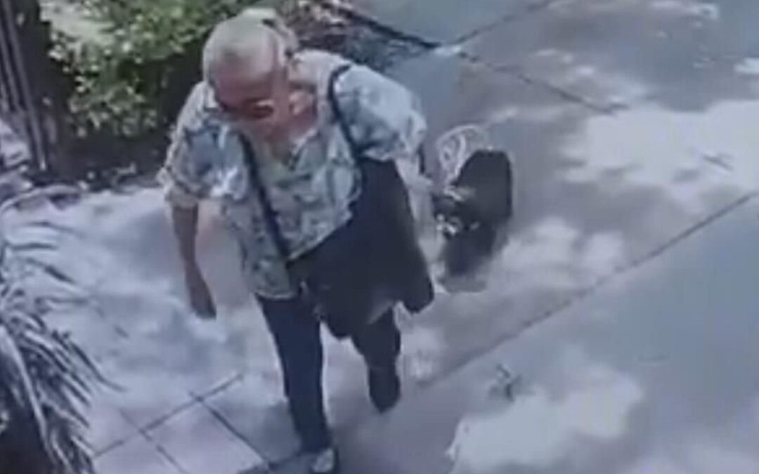 La Mataperros de Coyoacán: El Impactante Caso de la Perrita Moni