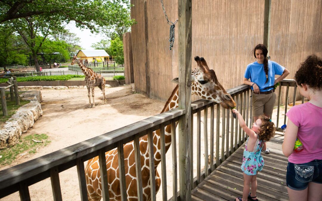 Sedgwick County Zoo: Vota y Ayuda a Posicionarlo entre los Mejores Zoológicos de Estados Unidos