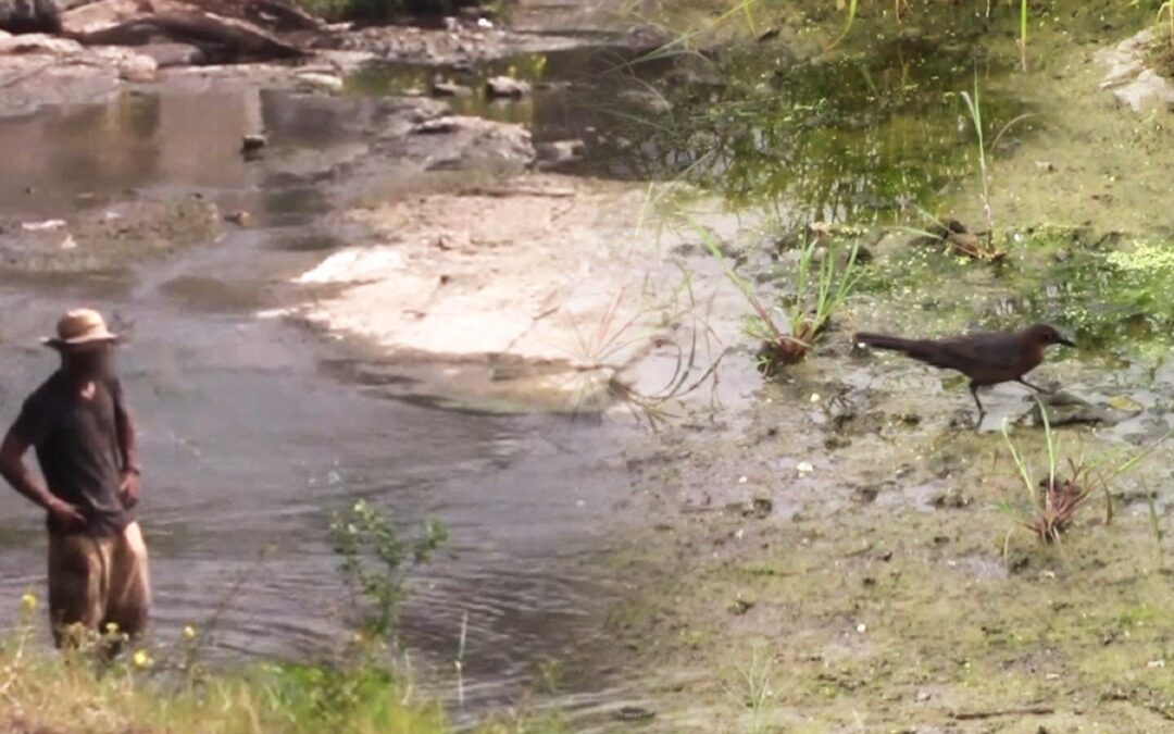 Infecciones Severas en la Huasteca Potosina: Contaminación de Ríos Preocupa a la Población