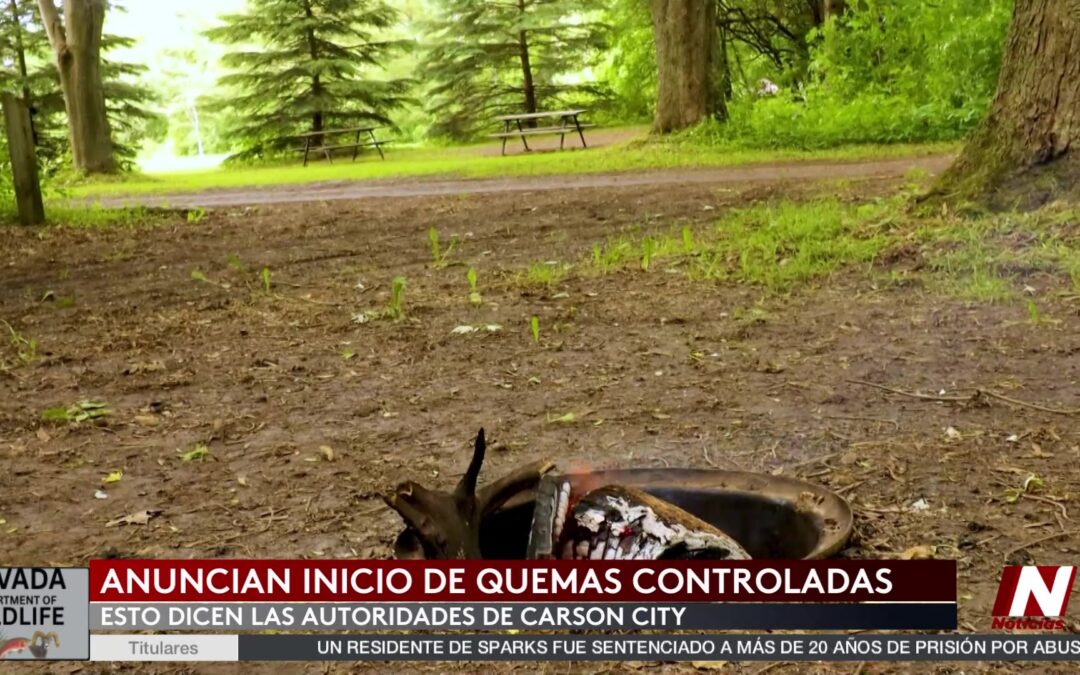 Arranca la Temporada de Quema al Aire Libre en Carson City: Todo lo que Necesitas Saber