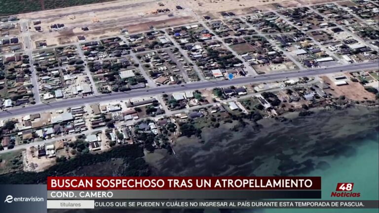 Autoridades Buscan Vehículo Responsable De Atropellamiento