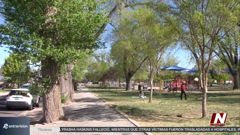 Crisis de Seguridad en Albuquerque Tras Noche Violenta en Fair West