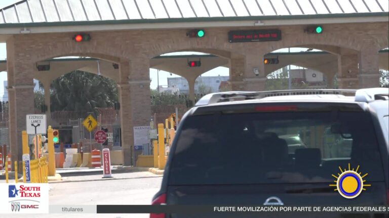 Aduanas: Cruzando Fronteras: Qué Llevar Y Qué Dejar