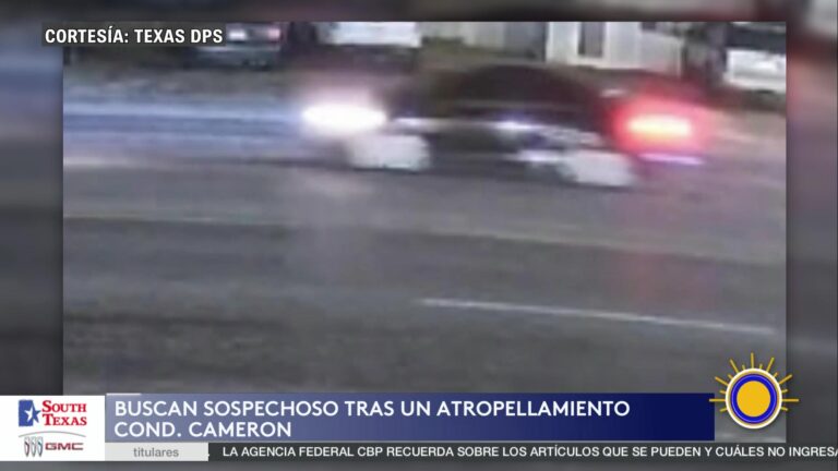 Fuga Tras Atropellamiento En Pharr