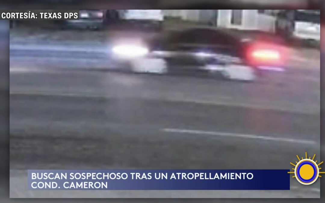 Atropellamiento En Laguna Heights: Sospechoso A La Fuga