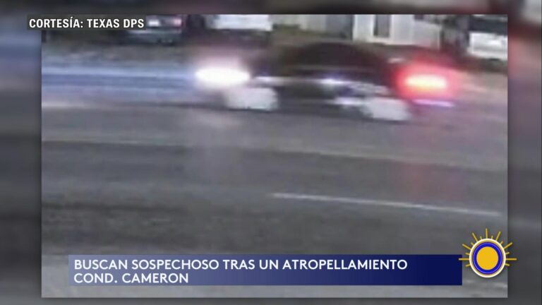 Atropellamiento En Laguna Heights: Sospechoso A La Fuga