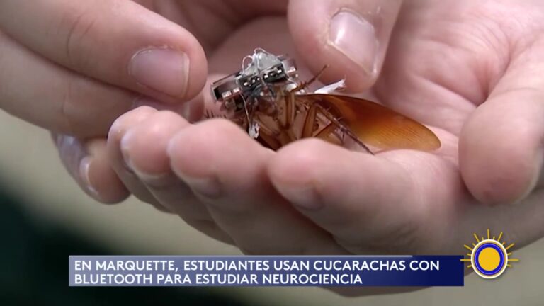 Revolucionario Experimento Educativo en Milwaukee Funde Tecnología y Biología