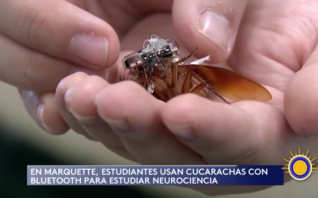 Universidad de Marquette Revoluciona con Experimento Educativo Innovador